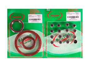 Jogo De Retentores Do Motor Elantra, I30 E Tucson 06>, Cerato 04> E Sportage 06/10 Bastos 1350177