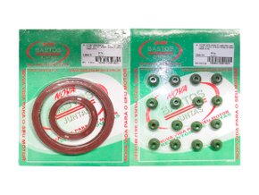 Jogo De Retentores Do Motor Honda Accord 05>, City 09>, Civic 06>, Cr-v 07> E Fit 05> Bastos 1350170