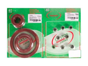 Jogo De Retentores Do Motor Laguna 94>, Megane E Scenic 97> Bastos 1350076