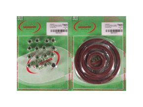 Jogo De Retentores Do Motor Master 05/13 Bastos 1350175