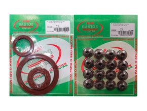 Jogo De Retentores Do Motor Peugeot 206, Clio, Kangoo E Twingoo 01>, Logan 07> E Sandero 08> Bastos 1350087