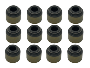 Jogo Retentor Haste De Válvulas Blazer E S-10 4.3 V6 96/00 Bastos 1250023