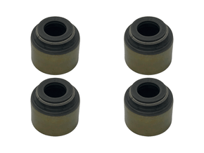 Jogo Retentor Haste de Válvulas TAKAO RV MI 29