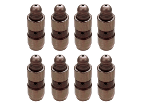 Jogo Tucho de válvula INA 4200098100