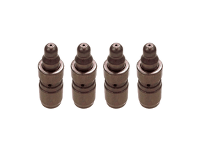 Jogo Tucho de válvula INA 4200100100