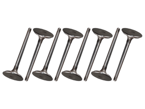 Jogo Válvula de admissão 3B 3066-AC