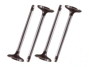 Jogo Válvula De Admissão Astra, Vectrae Zafira 2.0 8v 09>, Blazer E S-10 2.4 01/11 Takao Vad Gm 24b