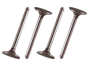 Jogo Válvula de admissão EATON VS4897