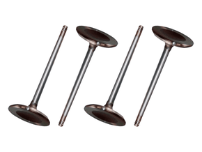 Jogo Válvula de admissão EATON VS5263