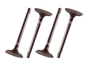 Jogo Válvula de admissão EATON VS5698