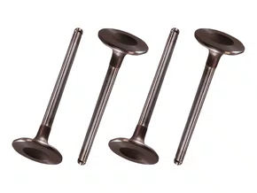 Jogo Válvula De Admissão Ecosport 2.0 16v 03>, Ecosport Novo 2.0 16v 13>, Focus 2.0 16v 05>, Fusion 2.3 16v 06/10, Mondeo 2.0 16v 01>, Ranger 2.3 16v 01/12 Takao Vad Fo 21a