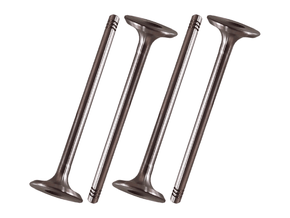 Jogo Válvula de admissão FRONTIER 71023