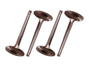 Jogo Válvula de admissão MAHLE METAL LEVE VA0250162