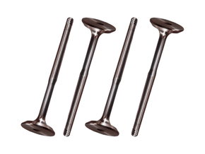 Jogo Válvula de admissão MAHLE METAL LEVE VA0700009