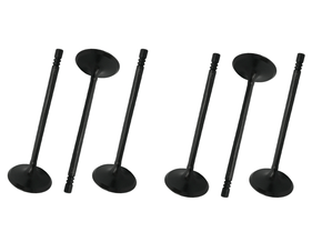 Jogo Válvula De Admissão Onix 12v 19> Aspirado Takao Vad Gm 10r