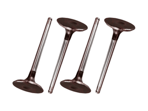 Jogo Válvula de admissão RIOSULENSE 54.109.030