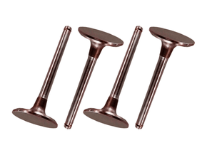 Jogo Válvula de admissão RIOSULENSE 54.153.040