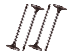 Jogo Válvula de admissão TAKAO VAD GM 10B