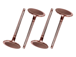 Jogo Válvula de admissão TAKAO VAD GM 14