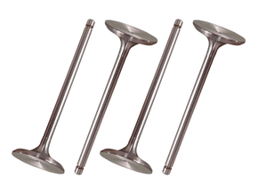 Jogo Válvula de admissão TAKAO VAD PG 15A