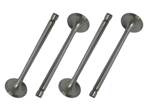 Jogo Válvula de Admissão TAKAO VAD PG 16