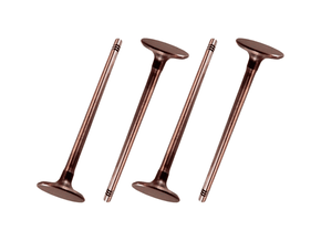 Jogo Válvula de admissão TAKAO VAD RE 09