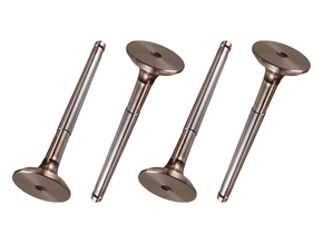 Jogo Válvula de escape EATON VS0933