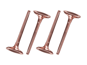 Jogo Válvula de escape EATON VS1984