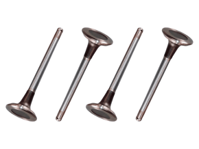 Jogo Válvula de escape EATON VS4262