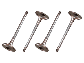 Jogo Válvula de escape EATON VS5264