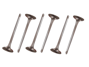 Jogo Válvula De Escape, Ecosport 12v 17>, Ka 12v 18> Takao Ves Fo 15