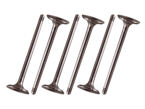 Jogo Válvula De Escape Kwid 1.0 12v 17>, Logan 1.0 12v 17/20, Sandero 1.0 12v 20> Takao Ves Re 10