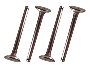 Jogo Válvula de escape RIC RE-1141