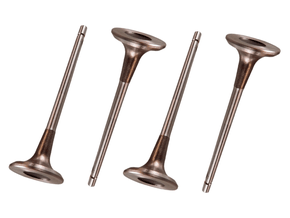 Jogo Válvula de escape RIC RE-1213