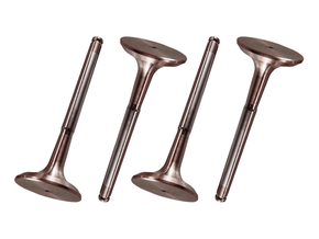 Jogo Válvula de escape RIOSULENSE 54.081.070