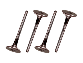 Jogo Válvula de escape RIOSULENSE 54.110.030