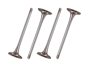 Jogo Válvula de escape TAKAO VES FI 14A