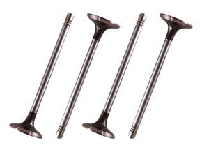 Jogo Válvula de escape TAKAO VES GM 10B