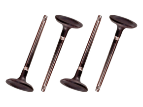 Jogo Válvula de escape TAKAO VES GM 14