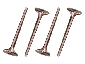 Jogo Válvula de escape TAKAO VES PG 14