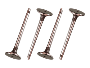 Jogo Válvula de escape TAKAO VES VW 10C