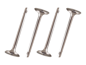 Jogo Válvula de escape TAKAO VES VW 16C