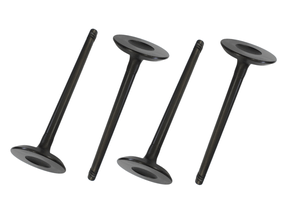 Kit Válvula De Admissão Ecosport, Fiesta, Focus, Ka, New Fiesta Takao Vad Fo 16c