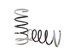 Par Mola de suspensão dianteira Fiesta 96/01 FABRINI I-FO0351