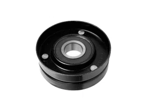 Polia Da Correia Poly V Audi A3 00>, Gol, Parati E Saveiro 96/02, Golf E Polo 02> Ranalle R4114