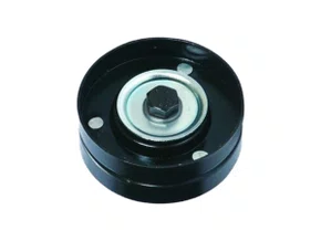 POLIA DA CORREIA POLY V ESCORT 97>, ASTRA <00, CALIBRA, CELTA 01>, CORSA 96>, OMEGA 95/00 E VECTRA 97> RANALLE R4229CP