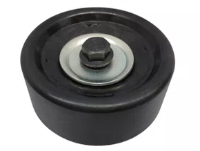 POLIA DA CORREIA POLY V FUSION 06>, ECOSPORT E MONDEO 01> RANALLE R4225CP