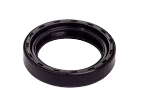 Retentor Da Roda Traseira Brasilia 73>, Fusca 69>, Kombi 74>, Tl  E Variant 1 70> Sabo 1095 Brg