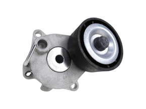 Tensor Da Correia Poly V, Roltens - Rt8053 