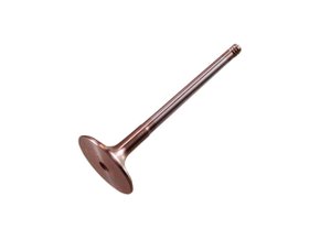 Válvula De Admissão Takao Vad Dw 20